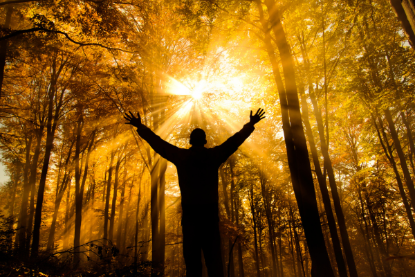 Despertar Espiritual: Rumo à Consciência Plena e Transformadora